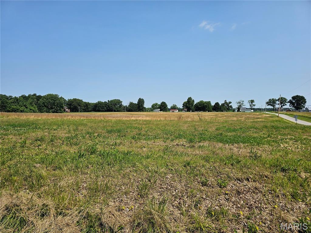 0 Welling Ln, Alton, IL 62002 - photo 2