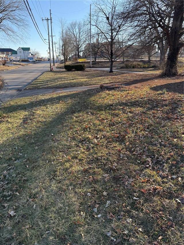 599 N Washington St, Farmington, MO 63640 - view of yard