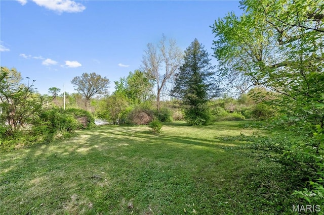 1919 Parker Rd, Saint Louis, MO 63138 - view of green lawn