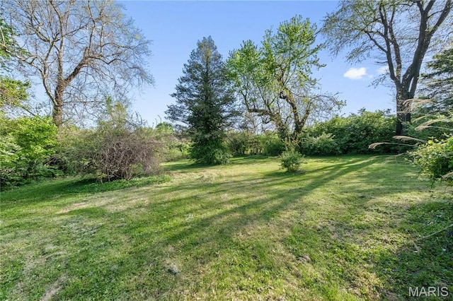 1919 Parker Rd, Saint Louis, MO 63138 - view of green lawn