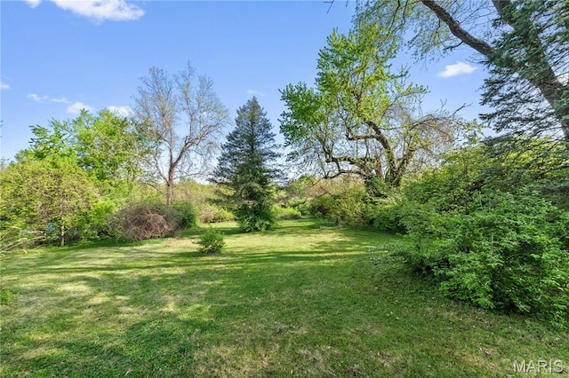 1919 Parker Rd, Saint Louis, MO 63138 - view of grassy yard