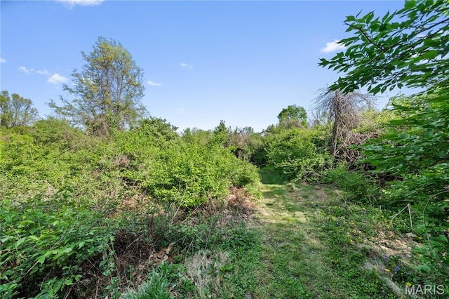 1919 Parker Rd, Saint Louis, MO 63138 - view of woods