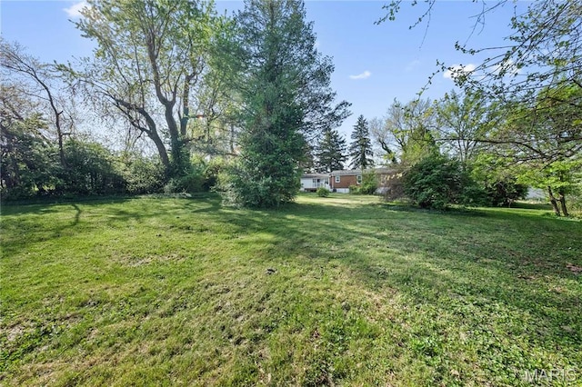 1919 Parker Rd, Saint Louis, MO 63138 - view of green lawn