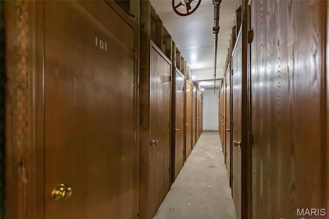 585 Coeur De Royale Dr Unit 206, Creve Coeur, MO 63141 - hallway featuring unfinished concrete floors