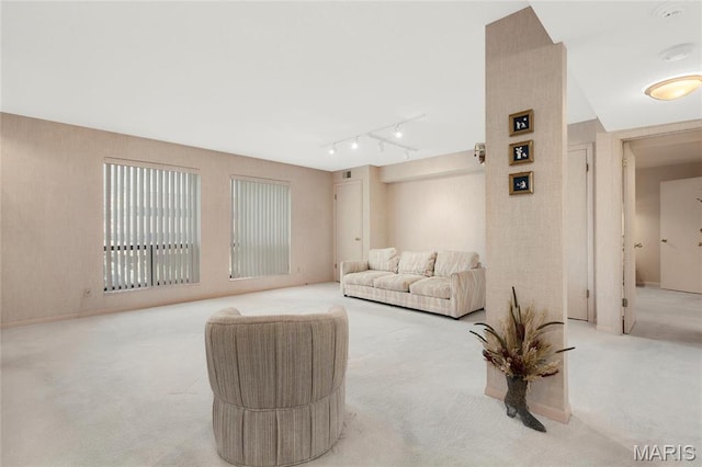 585 Coeur De Royale Dr Unit 206, Creve Coeur, MO 63141 - living room with carpet