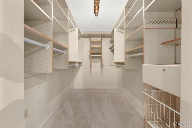 585 Coeur De Royale Dr Unit 206, Creve Coeur, MO 63141 - spacious closet with carpet flooring
