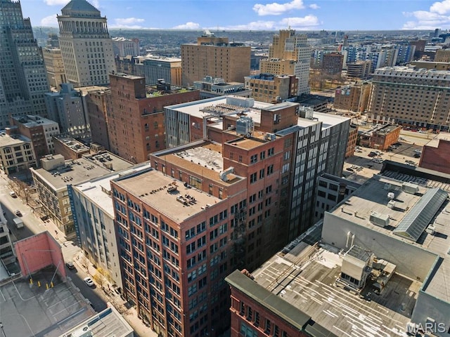 1010 Saint Charles St Unit 904, Saint Louis, MO 63101 - view of city