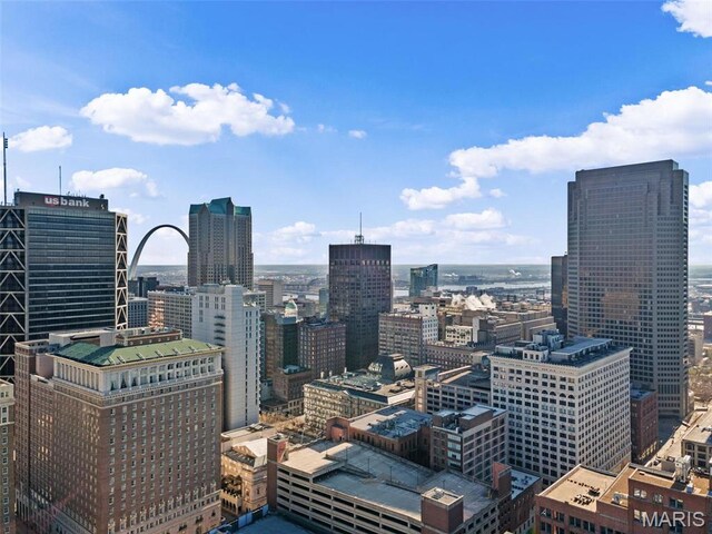 1010 Saint Charles St Unit 904, Saint Louis, MO 63101 - city view