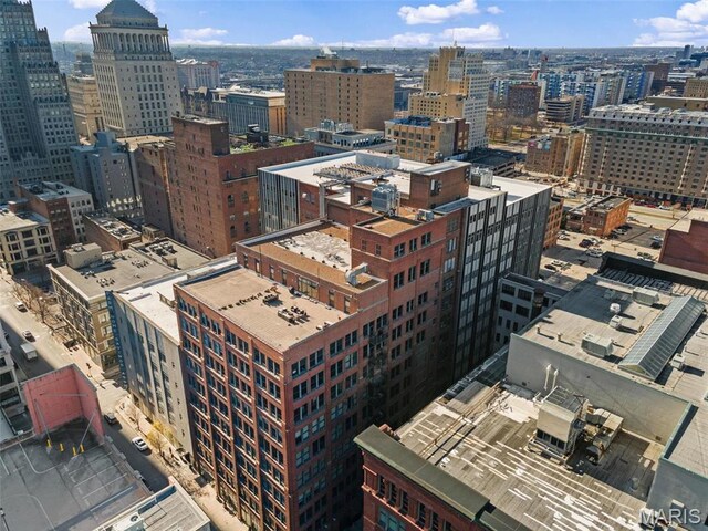 1010 Saint Charles St Unit 904, Saint Louis, MO 63101 - view of city