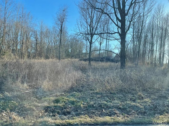 0 Tamarak Ln, Dexter, MO 63841