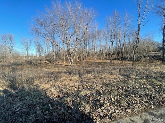 0 Tamarak Ln, Dexter, MO 63841