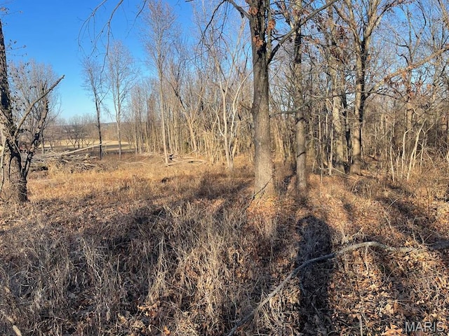 0 Tamarak Ln, Dexter, MO 63841