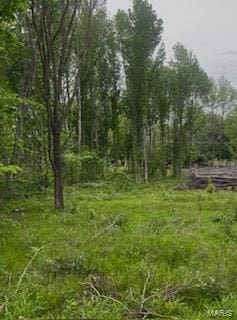 0 Tamarak Ln, Dexter, MO 63841