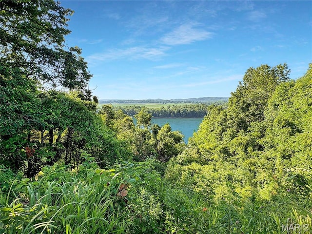 501 4th St W, Hermann, MO 65041 - water view with a heavily wooded area