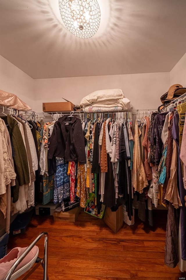 14 Club Ct, Union, MO 63084 - walk in closet with wood finished floors