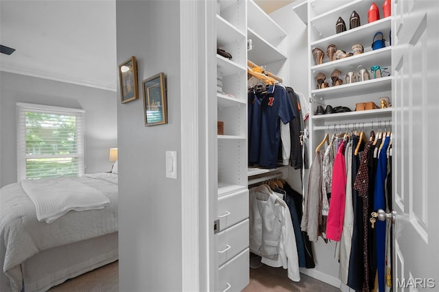 29 Spoede Ln, Creve Coeur, MO 63141 - walk in closet with carpet floors