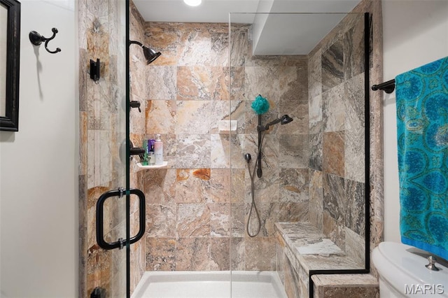 29 Spoede Ln, Creve Coeur, MO 63141 - bathroom featuring a shower stall and toilet