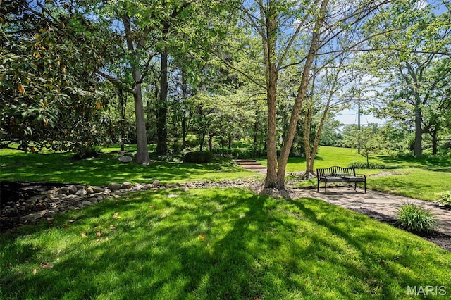 29 Spoede Ln, Creve Coeur, MO 63141 - view of grassy yard