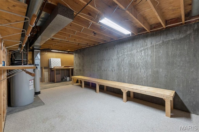 732 Woodridge Ln, Perryville, MO 63775 - unfinished basement featuring a water softener system