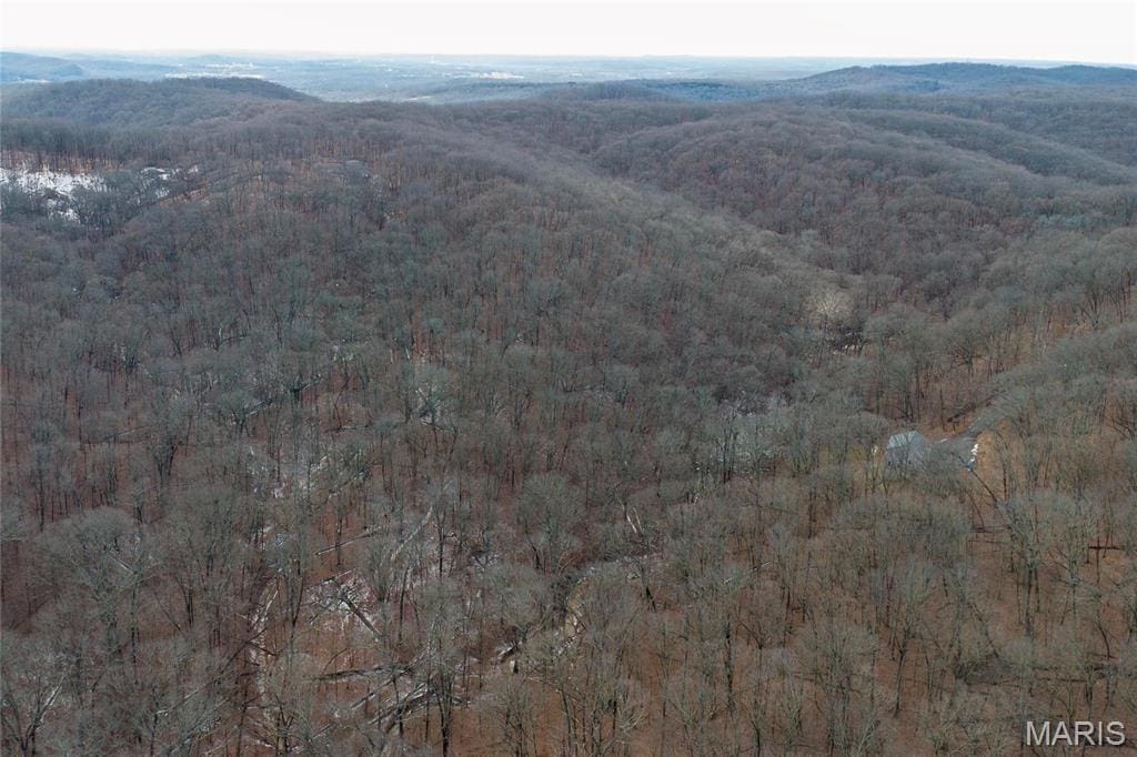 632 Hoene Ridge Estates Dr, Eureka, MO 63025 - photo 1