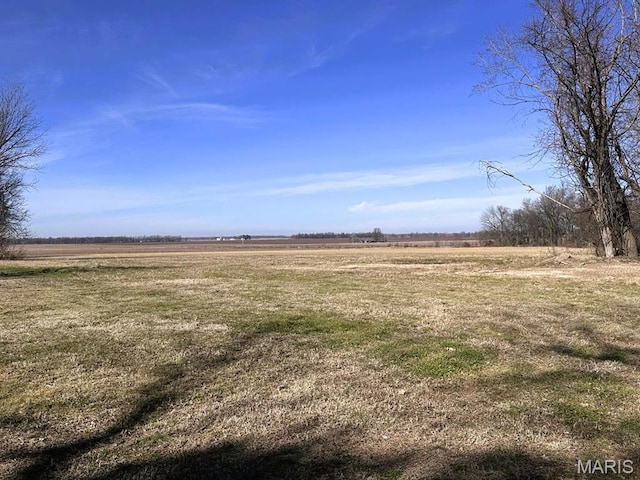 view of yard with a rural view