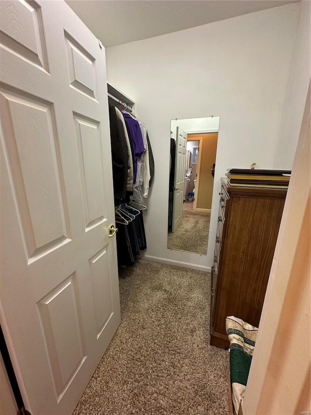 10 Cherokee Rdg, Sikeston, MO 63801 - spacious closet with carpet