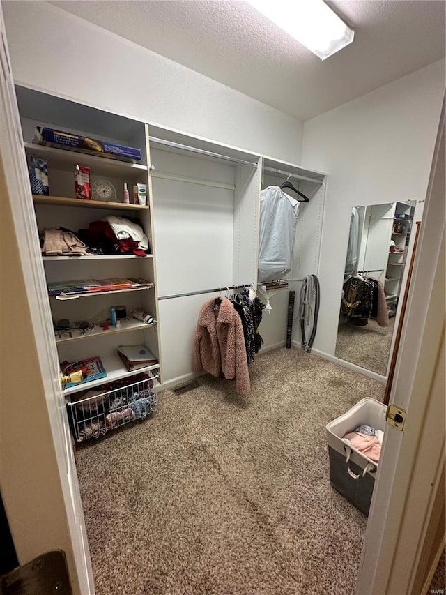 10 Cherokee Rdg, Sikeston, MO 63801 - walk in closet with carpet flooring