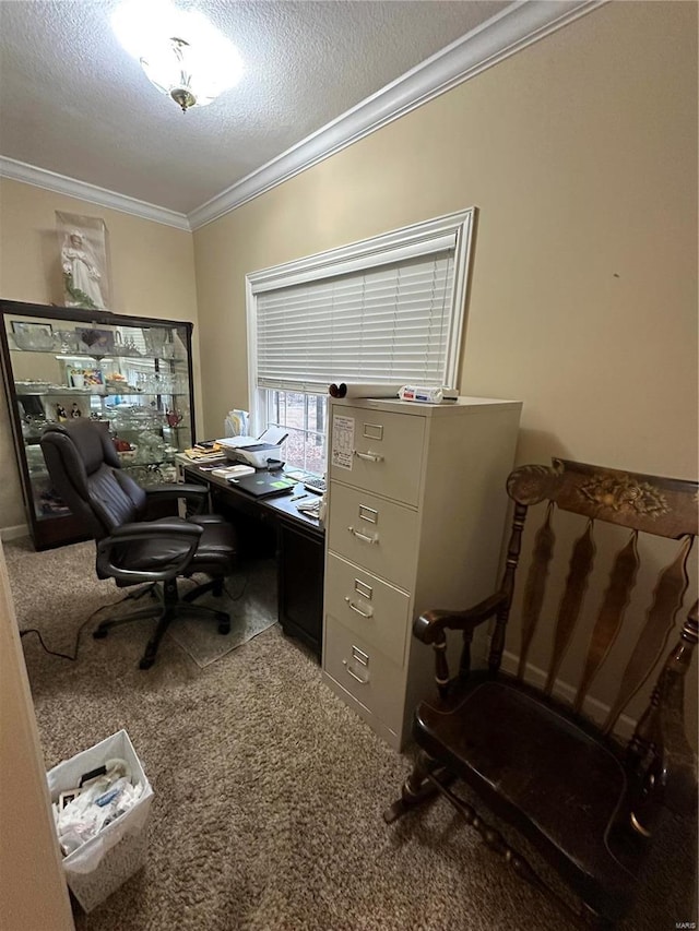 10 Cherokee Rdg, Sikeston, MO 63801 - office space featuring ornamental molding, a textured ceiling, and carpet flooring