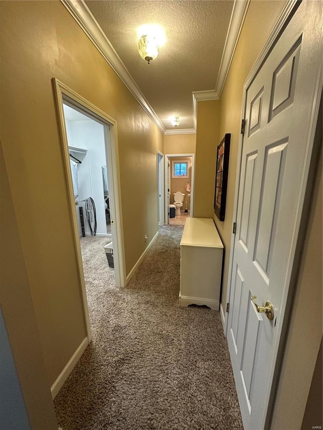 10 Cherokee Rdg, Sikeston, MO 63801 - corridor featuring a textured ceiling, carpet, crown molding, and baseboards