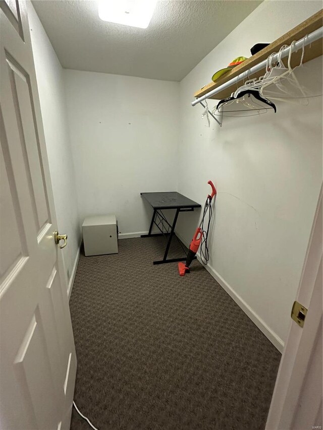 10 Cherokee Rdg, Sikeston, MO 63801 - walk in closet with carpet flooring