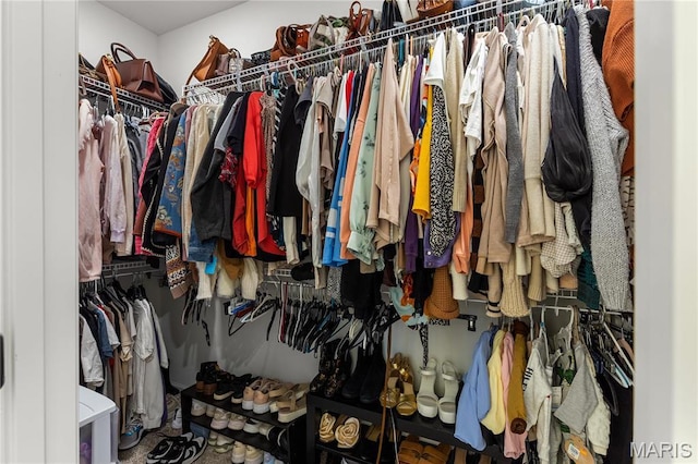 138 Rhythm Point Dr, Saint Peters, MO 63376 - view of walk in closet