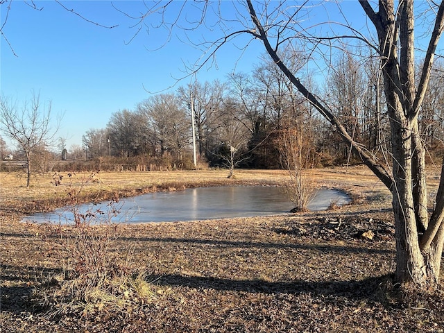 1539 Bcr 628, Puxico, MO 63960 - water view