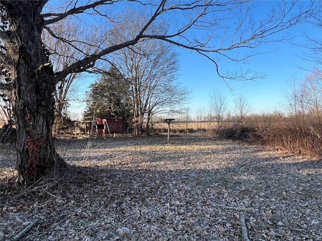 1539 Bcr 628, Puxico, MO 63960 - view of yard