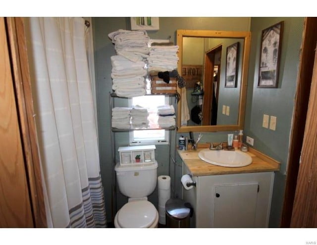 2086 County Road 137, Wasola, MO 65773 - bathroom with vanity, toilet, and a shower with curtain