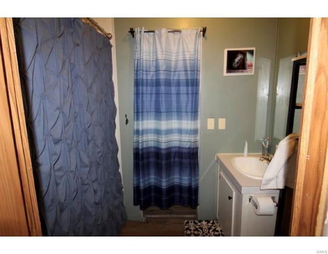 2086 County Road 137, Wasola, MO 65773 - full bath featuring vanity, wood finished floors, and curtained shower