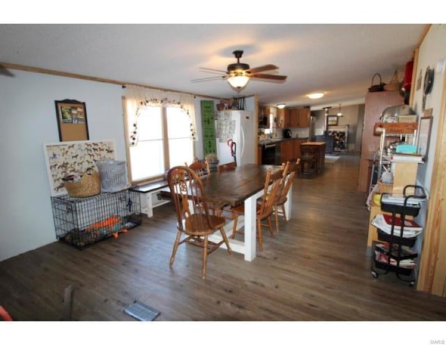 2086 County Road 137, Wasola, MO 65773 - dining space with ceiling fan and dark wood-style floors