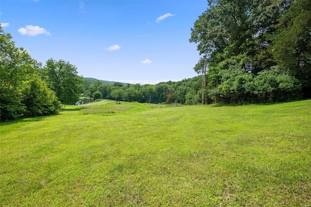 view of green lawn with a view of trees