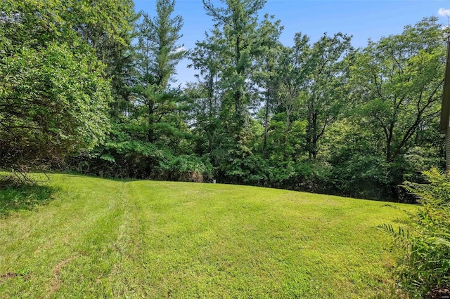 view of green lawn