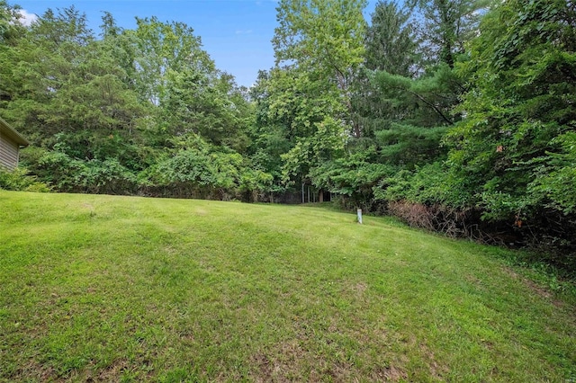 view of green lawn featuring a view of trees