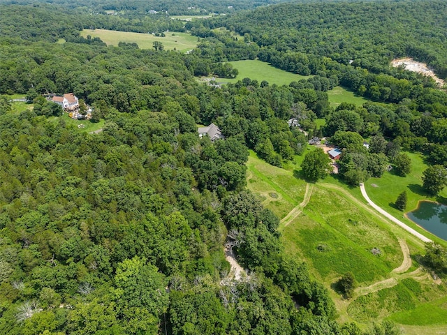 aerial view of a forest and a nearby body of water