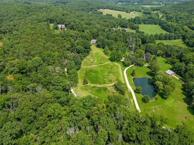 aerial view of a large body of water and a forest