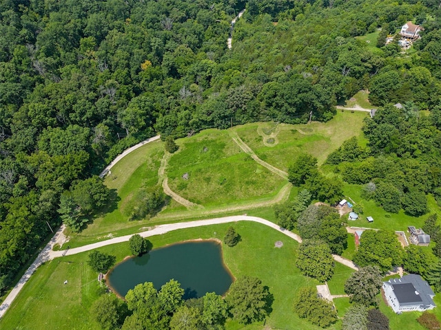 aerial overview of property's location with a large body of water and a heavily wooded area