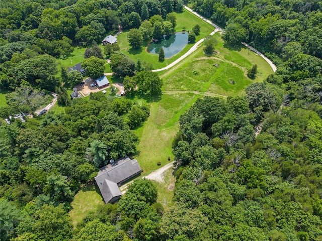aerial overview of property's location with a large body of water and a forest