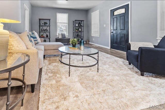 8284 Albin Ave, Saint Louis, MO 63114 - photo 3