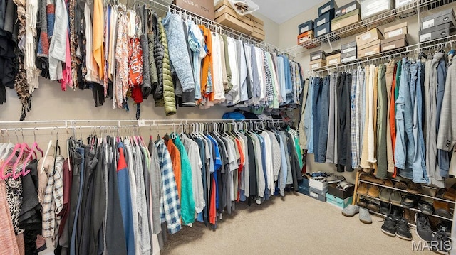 spacious closet featuring carpet flooring