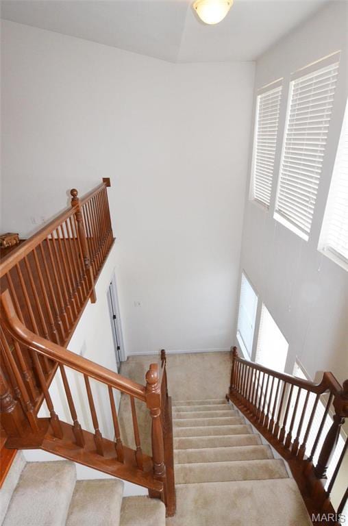 936 Palamino Path, High Ridge, MO 63049 - staircase with carpet flooring