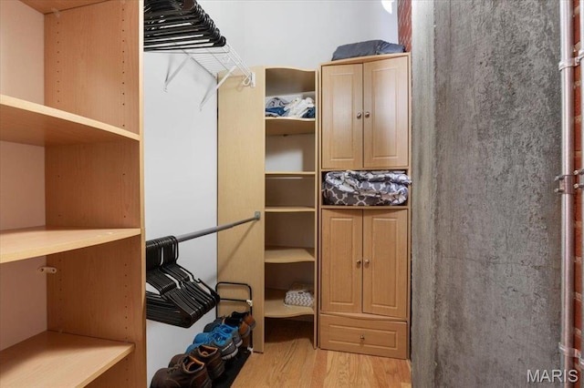 1619 Washington Ave Unit 805, Saint Louis, MO 63103 - walk in closet with wood finished floors