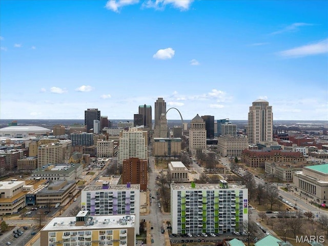 1619 Washington Ave Unit 805, Saint Louis, MO 63103 - city view