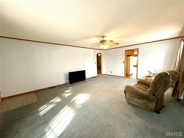 509 & St, Wellsville, MO 63384 - photo 24