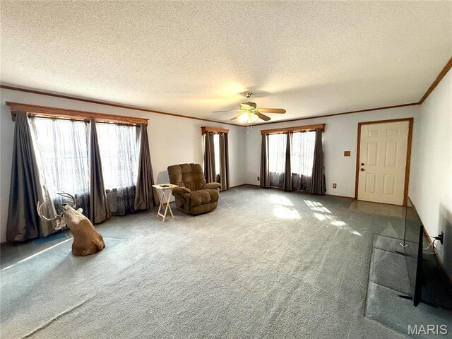 509 & St, Wellsville, MO 63384 - photo 25